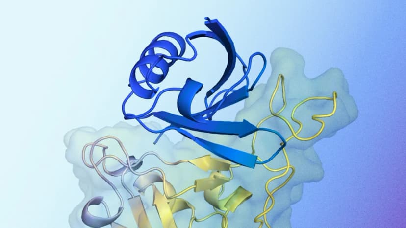 AlphaProteo generates novel proteins for biology and health research